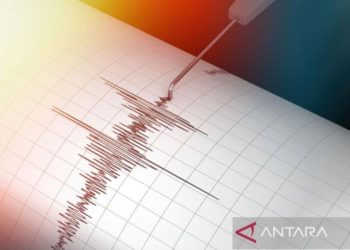 Gempa M 4,8 Guncang Keerom Papua, Cek Info Terkini BMKG