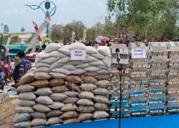 Terbongkar! Modus Ikan untuk Selundupkan 496 Ton Timah Babel