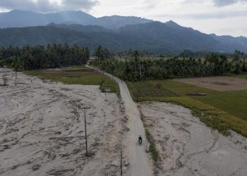 Kementan Rp 336 M untuk Sawah Subur Sumatera