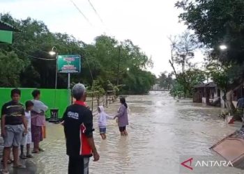 Waspada! Banjir Grobogan Landa 34 Desa, Hujan Mengancam Lagi