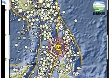 Gempa Skala Besar Guncang Maluku Minggu 1 Februari 2026,Berkekuatan M 5,2 Berpusat di Wilayah Ini