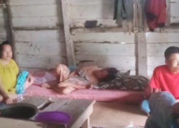 BPJS Luwu UHC Aktifkan 25381 Pasien Nonaktif – Aksara Lokal BPJS Luwu: UHC Aktifkan 25.381 Pasien Nonaktif