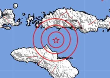 Gempa Kolaka Timur: Guncangan 2,3 SR Sore Ini, BMKG Rilis
