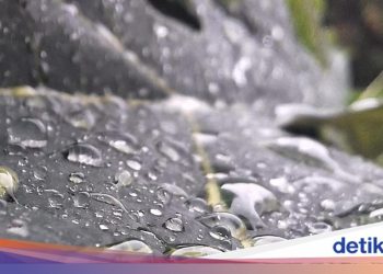 Sedia Payung, Palembang Diprediksi Hujan Siang Ini 2 Februari 2026