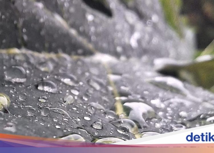 Sedia Payung, Palembang Diprediksi Hujan Siang Ini 2 Februari 2026