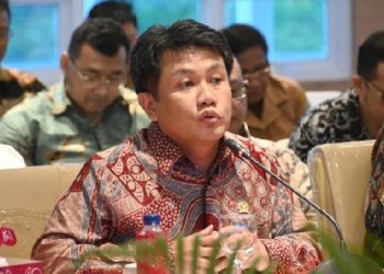 Kader PDIP Terlibat Proyek MBG? Ini Faktanya!