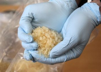 Kasat Narkoba Toraja Utara Terjerat Narkoba, Langgar Etik