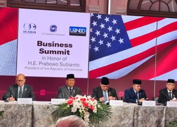 Prabowo: Solusi Nyata Gaza Mendesak, Ini Pesannya