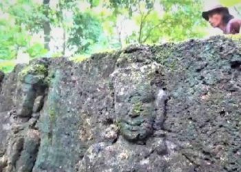 Misteri Candi Hutan Jati Ngawi: Pemda Kekurangan Tim Arkeolog