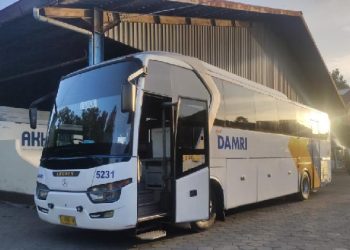 Damri Jakarta-Bali: Cek Tarif & Jadwal Terbaru!