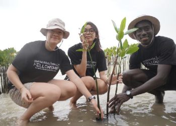 Belajar Mangrove: Jaga Bumi, Masa Depan Cerah!