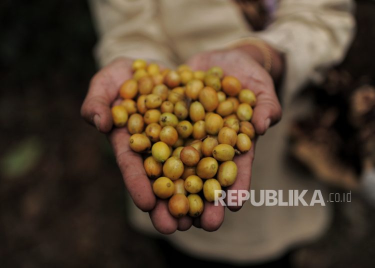 RI Perjuangkan Tarif Nol Ekspor Unggulan ke AS