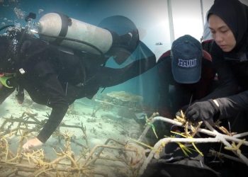 Tukang Kebun Bawah Laut: Gadis Makassar Dobrak Stigma