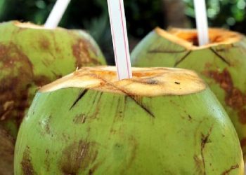 10 Minuman Es Segar Pelepas Dahaga Buka Puasa