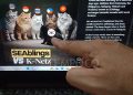 Awal Mula Perseteruan Panas SEAblings vs K-netz di Medsos