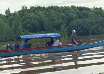 ITB dan Brawijaya Hadirkan Ekowisata Mangrove Baru di Perbatasan Nunukan