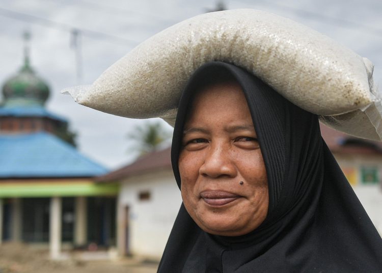 Indonesia Impor Beras AS: Ada Apa dengan Swasembada?