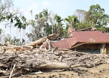 SK Menhut: Kayu Hanyutan Jadi Solusi Cepat Rehabilitasi Pascabencana