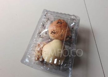 Menu Makan Bergizi Gratis Ramadan Viral, Orang Tua Soroti Isinya