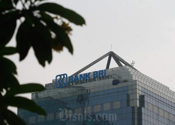 BRI 2025: Laba Rp57 T, Anak Usaha Ungguli Induk