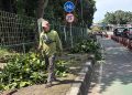 Usai Temuan Kondom, Pagar Hutan Kota Cawang Dicor dan Dipangkas
