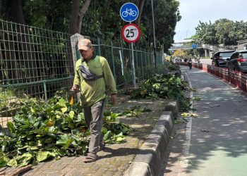 Usai Temuan Kondom, Pagar Hutan Kota Cawang Dicor dan Dipangkas