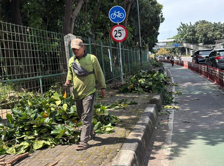 Usai Temuan Kondom, Pagar Hutan Kota Cawang Dicor dan Dipangkas