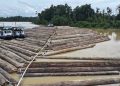Kemenhut Ungkap Ribuan Kayu Ilegal di Sungai Kapuas