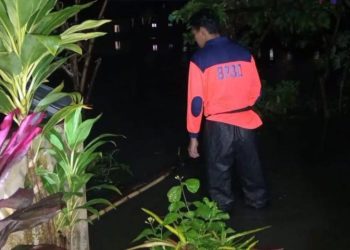 Banjir Terjang Pakis Malang, BPBD Gerak Cepat Data Kerusakan