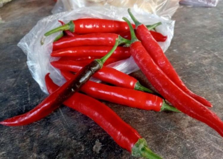 Wabup Lombok Tengah Sidak Pasar Renteng, Pastikan Harga Sembako Aman