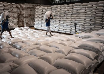 Zulhas: Impor 1.000 Ton Beras Amerika Serikat untuk Kebutuhan Khusus