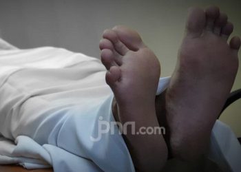 Autopsi Potongan Tubuh Bali: Misteri Terungkap!