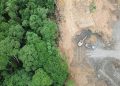 Alarm Darurat Hutan Indonesia: Mengapa Alih Fungsi Lahan Menjadi Ancaman Nyata di 2026?