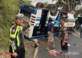 Tragedi Bus Terguling di OKU Selatan: 28 Penumpang Terluka Akibat Jalur Ekstrem Danau Ranau