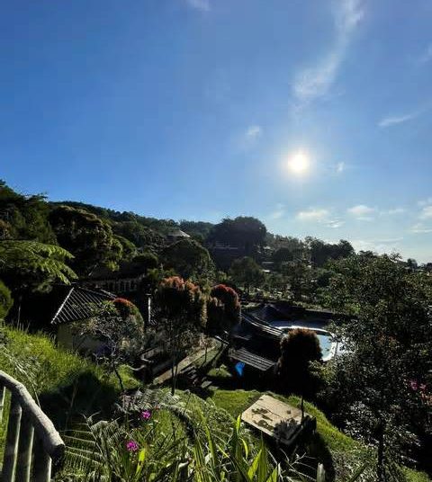 Menyingkap Sisi Liar Baturraden: Pesona Alam Gunung Slamet yang Belum Sepenuhnya Terjamah di 2026