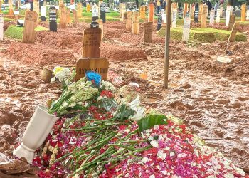 Keluarga Berencana Tanam Pohon di Sekitar Makam Vidi Aldiano: Simak Alasan Haru di Baliknya