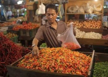 Harga Cabai Rawit Merah Turun ke Rp 45 Ribu Pasca Lebaran 2026: Kabar Baik untuk Ibu Rumah Tangga