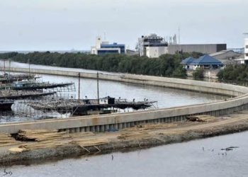 Strategi Baru 2026: Mengapa Pekalongan Harus Jadi Prioritas Utama Giant Sea Wall Pantura?
