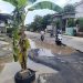 msn-AA1ZKDko-0 – Aksara Lokal Aksi Protes Warga Kayen Pati: Jalan Rusak Tak Kunjung Diperbaiki, Pohon Pisang Jadi Simbol Kekecewaan