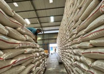 Rekor Baru Ketahanan Pangan: Stok Beras Nasional Tembus 4,3 Juta Ton, Tertinggi Sepanjang Sejarah!