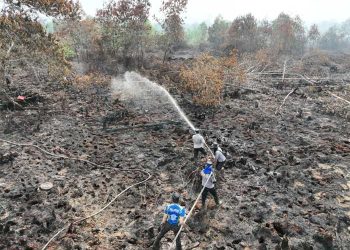 Mal Ciputra Cibubur Terbakar Hari Ini, Petugas Berjibaku Jinakkan Api