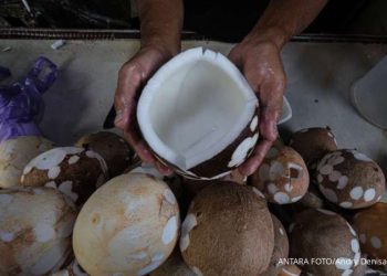 Krisis Kemasan 2026: Mengapa Pedagang Kaltim Tercekik Harga Plastik yang Melambung?