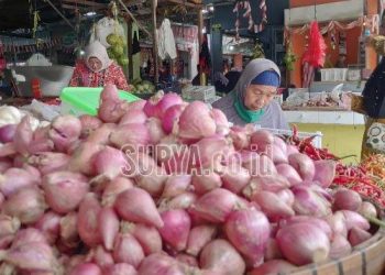 Harga Plastik Melonjak Drastis 2026: Dari Rp10.000 Jadi Rp150.000, Apa yang Terjadi?
