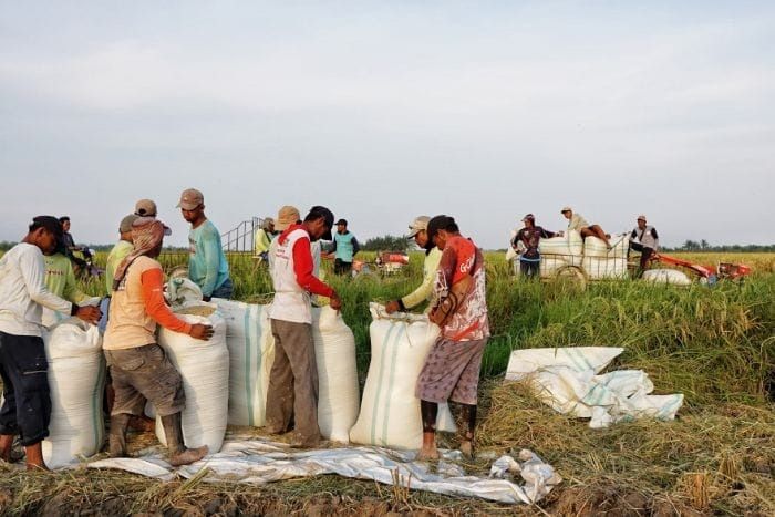 Harga Plastik Naik: Momen Emas Akselerasi Ekonomi Hijau di Indonesia 2026