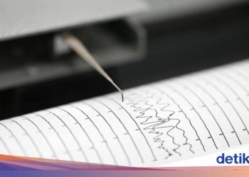 Gempa M 7,6 Guncang Sulawesi Utara: Peringatan Dini Tsunami dan Daftar 7 Wilayah Siaga