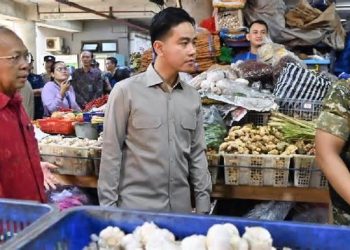 Gibran Sampaikan Duka Mendalam Atas Gugurnya 3 Prajurit TNI di Lebanon: PBB Didesak Lakukan Investigasi Total