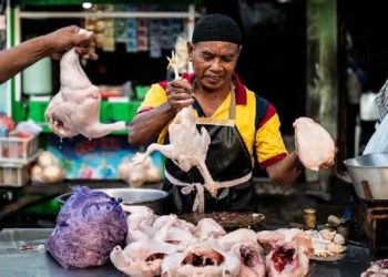 Stabilitas Ekonomi 2026: Mengapa Inflasi IHK Maret Tetap Terjaga di Angka 2,51%?