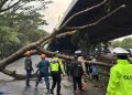 Bandung Dilanda Cuaca Ekstrem: 33 Pohon Tumbang dalam Satu Jam dan Korban Jiwa